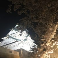 夜桜_20180415_1