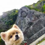 愛犬と鋸山へ行ってきました！_20180418_1