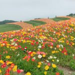 淡路島_20180521_1