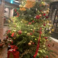 Christmas_20181227_1