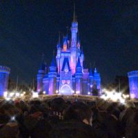 ディズニーランド_20181229_1