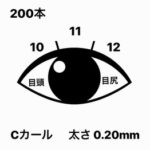 高級セーブル無制限付け放題_20190506_2